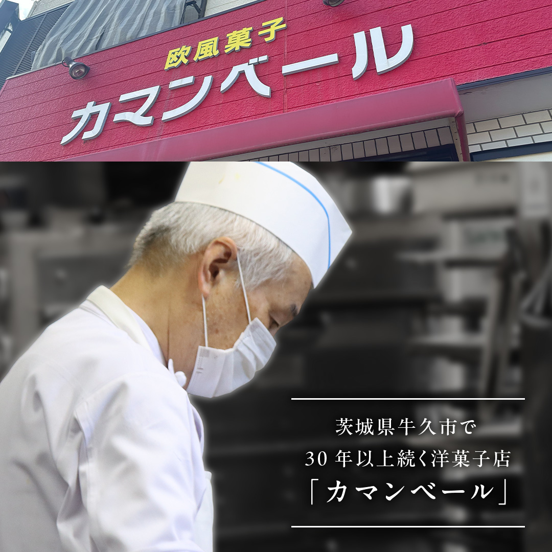 濃厚 ！ ベイクドチーズケーキ 5号（ 冷凍 ） チーズケーキ 冷凍ケーキ クリームチーズ 濃厚 甘い おいしい 美味しい スイーツ おうちカフェ お菓子 おやつ お取り寄せ お土産 贈り物 お祝い 誕生日 プレゼント ギフト パーティー 国産 茨城