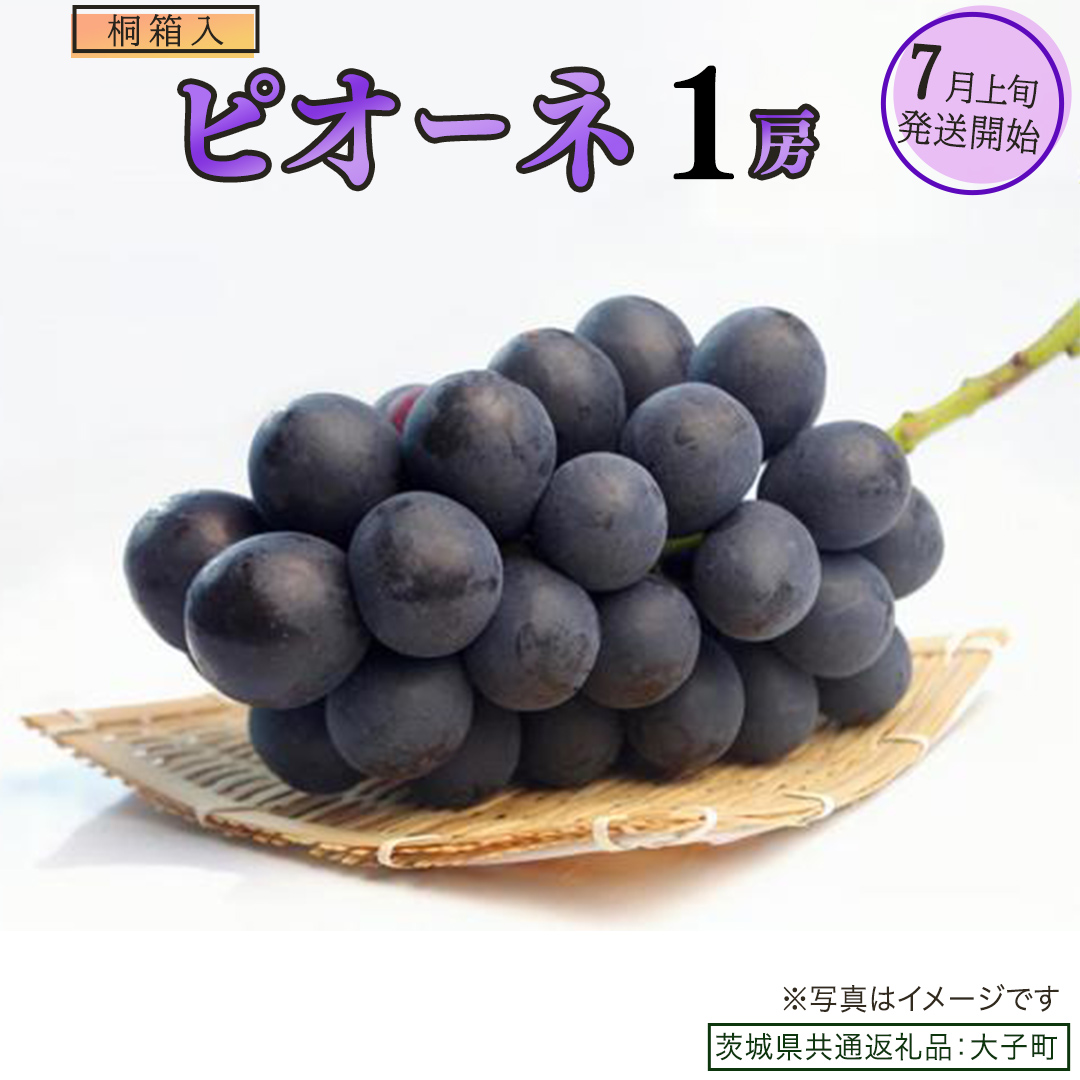 ãæ¡ç®±å
¥ãã ããªãŒã ïŒæ¿ã2026幎7æäžæ¬çºééå§ã(èšåçå
±éè¿ç€ŒåïŒå€§åçº) ãã㊠ã¶ã©ã è¡è ããªãŒã æç© ãã«ãŒã æå® èŽççš èŽãç© ã®ãã ãã¬ãŒã³ã