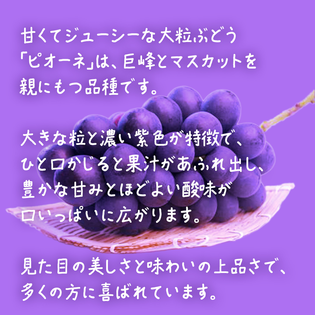 ããªãŒã ïŒæ¿ã2026幎7æäžæ¬çºééå§ã(èšåçå
±éè¿ç€ŒåïŒå€§åçº) ãã㊠ã¶ã©ã è¡è ããªãŒã æç© ãã«ãŒã æå®