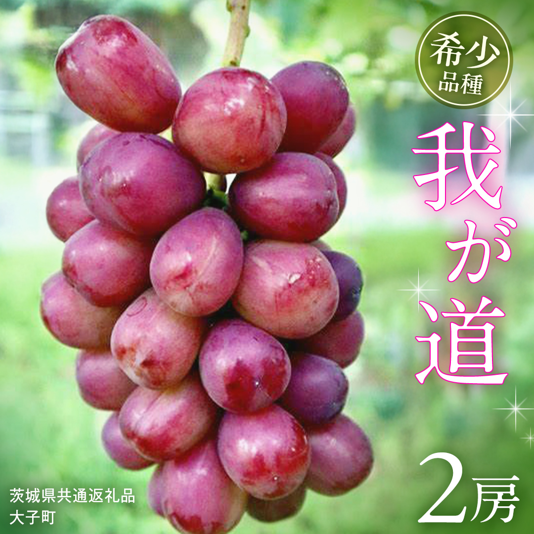 我が道 ２房【2026年9月上旬発送開始】(茨城県共通返礼品：大子町) シャインマスカット ウインク 葡萄 ブドウ ぶどう 果物 フルーツ 希少 新品種