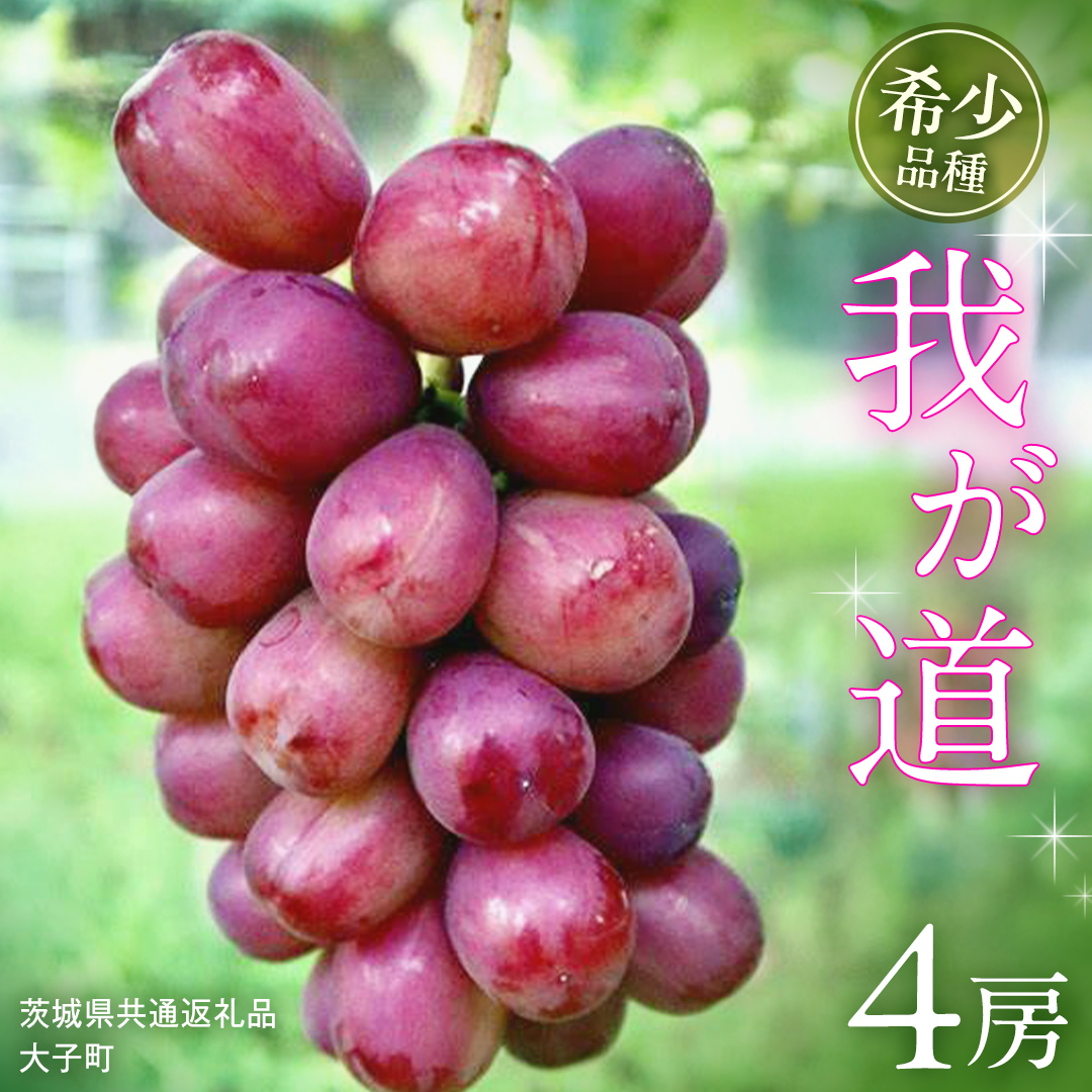 我が道 ４房【2026年9月上旬発送開始】(茨城県共通返礼品：大子町) シャインマスカット ウインク 葡萄 ブドウ ぶどう 果物 フルーツ 希少 新品種