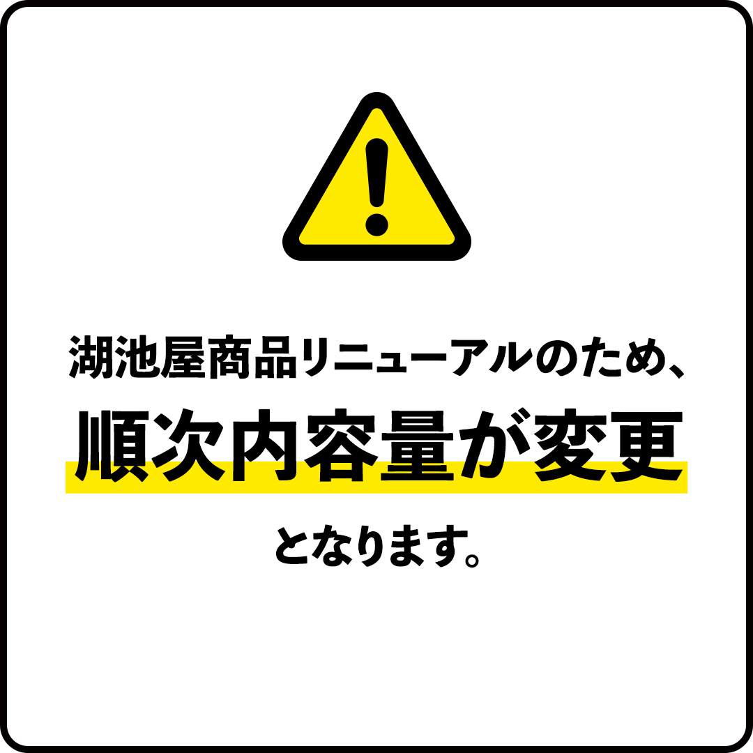 【 湖池屋 3ヶ月 定期便 】湖池屋 ポテトチップス 2種類アソート （じゃがいもと塩・ガーリック）（各12袋・計24袋 ×３回） ポテチ お菓子 おかし 大量 スナック おつまみ ジャガイモ じゃがいも まとめ買い スナック菓子 頒布会 数量限定
