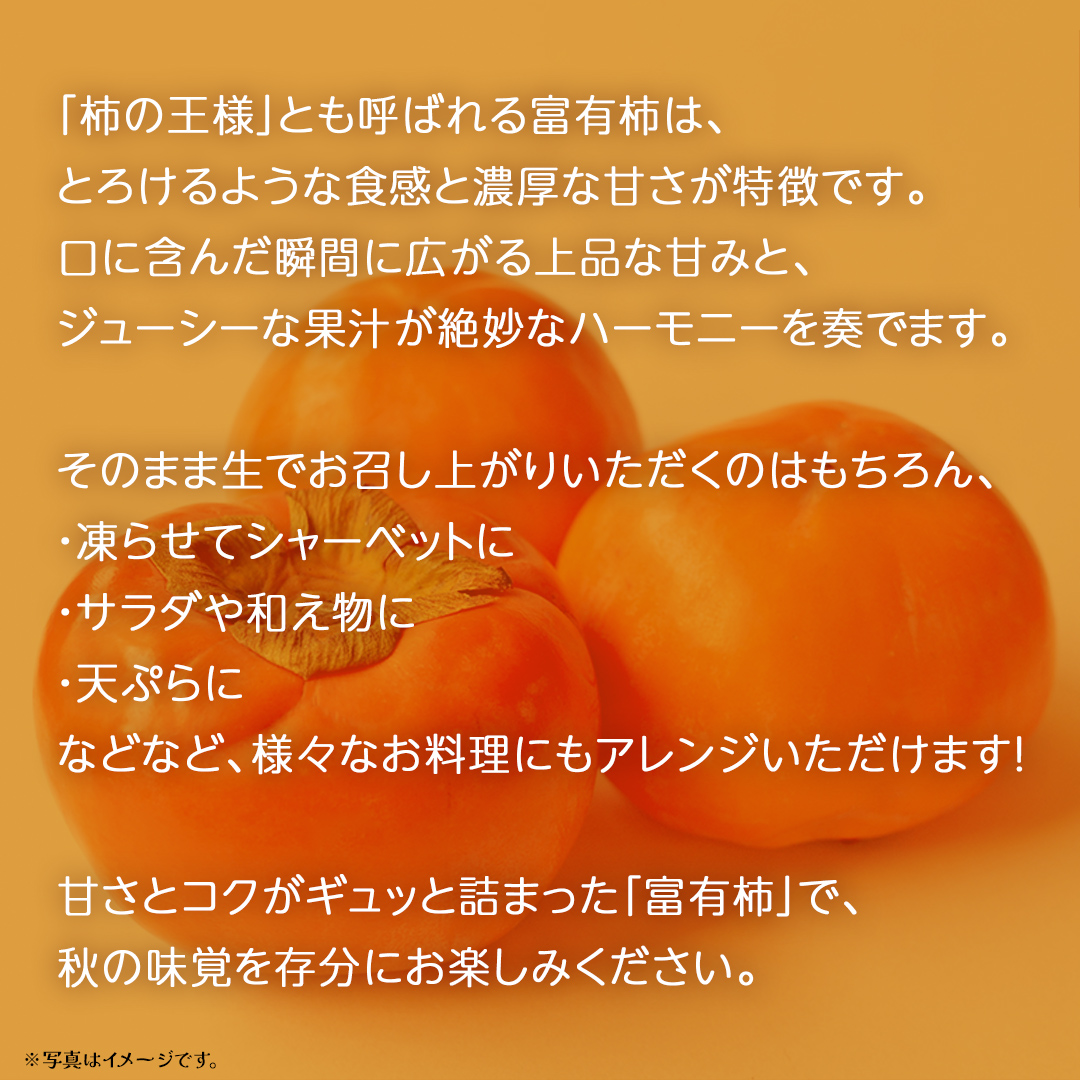 富有柿 約6kg 【2025年10月上旬発送開始】(茨城県共通返礼品：大子町) 柿 カキ かき 果物 フルーツ 旬 季節限定 期間限定