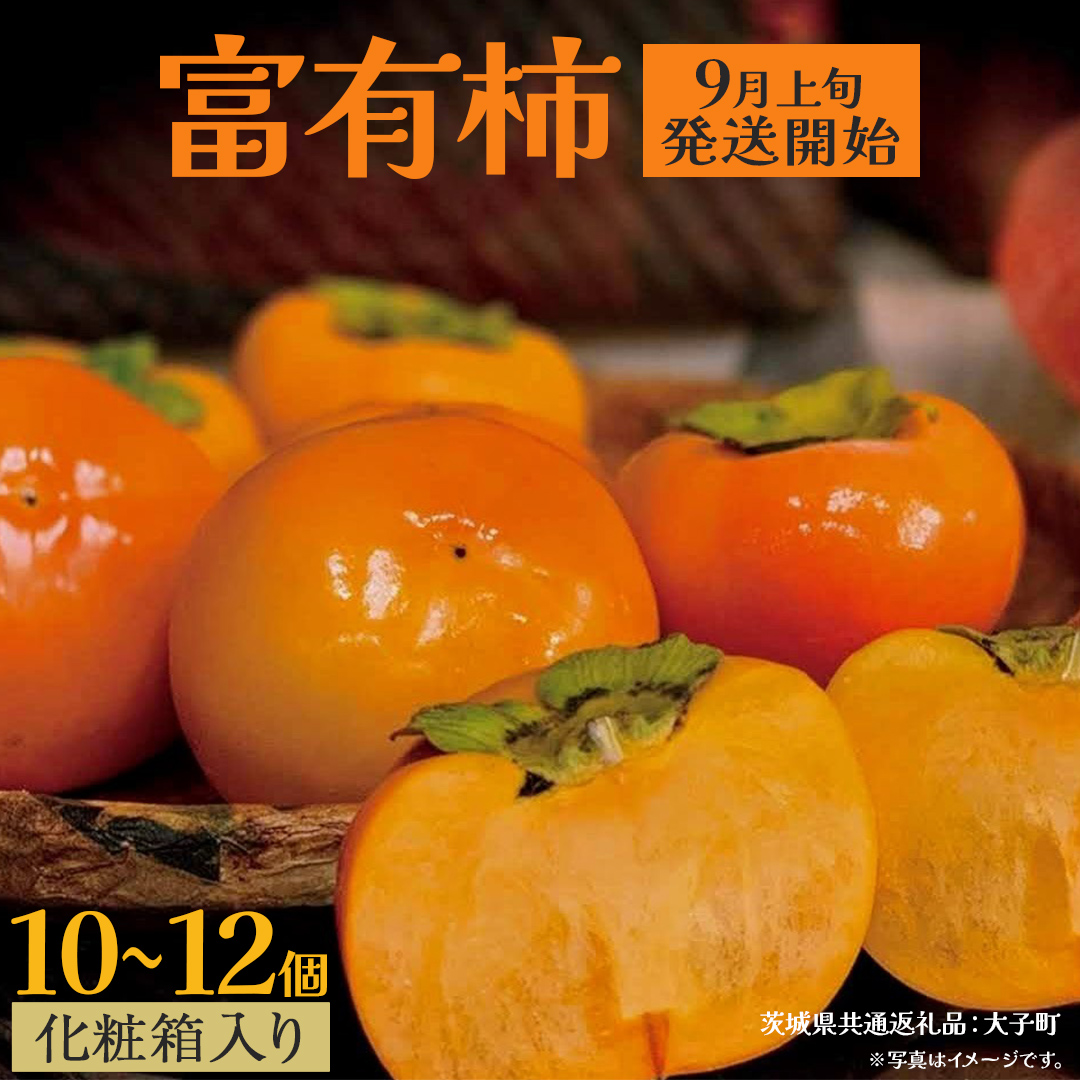 【化粧箱入り】富有柿10～12個【2025年9月上旬発送開始】(茨城県共通返礼品：大子町) 柿 かき カキ 果物 フルーツ 旬 季節限定 期間限定 贈答用 ギフト 贈り物