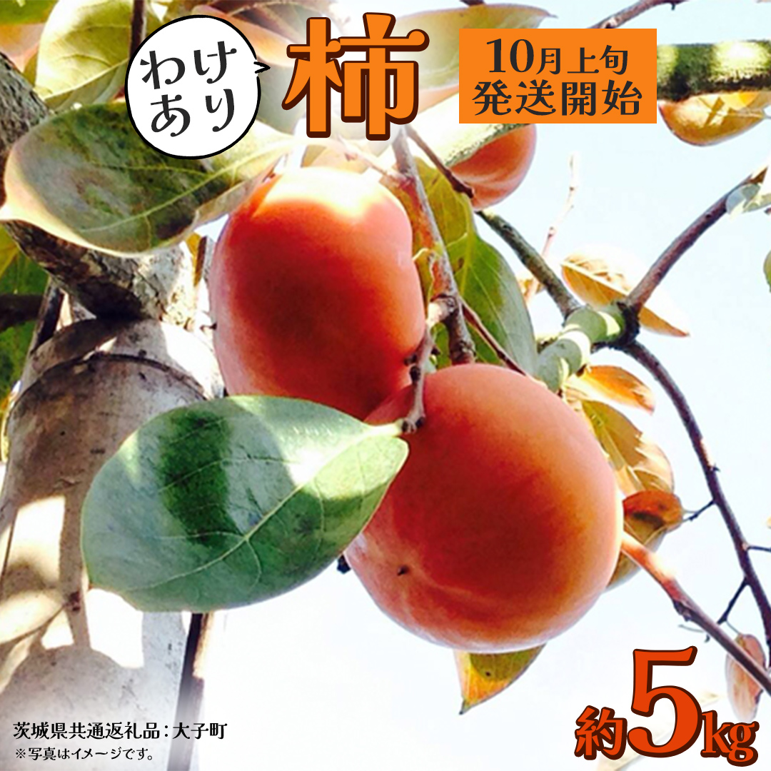 【 訳あり 】 柿 約5kg【2025年10月上旬発送開始】(茨城県共通返礼品：大子町) 柿 かき カキ 果物 フルーツ 旬 季節限定 期間限定