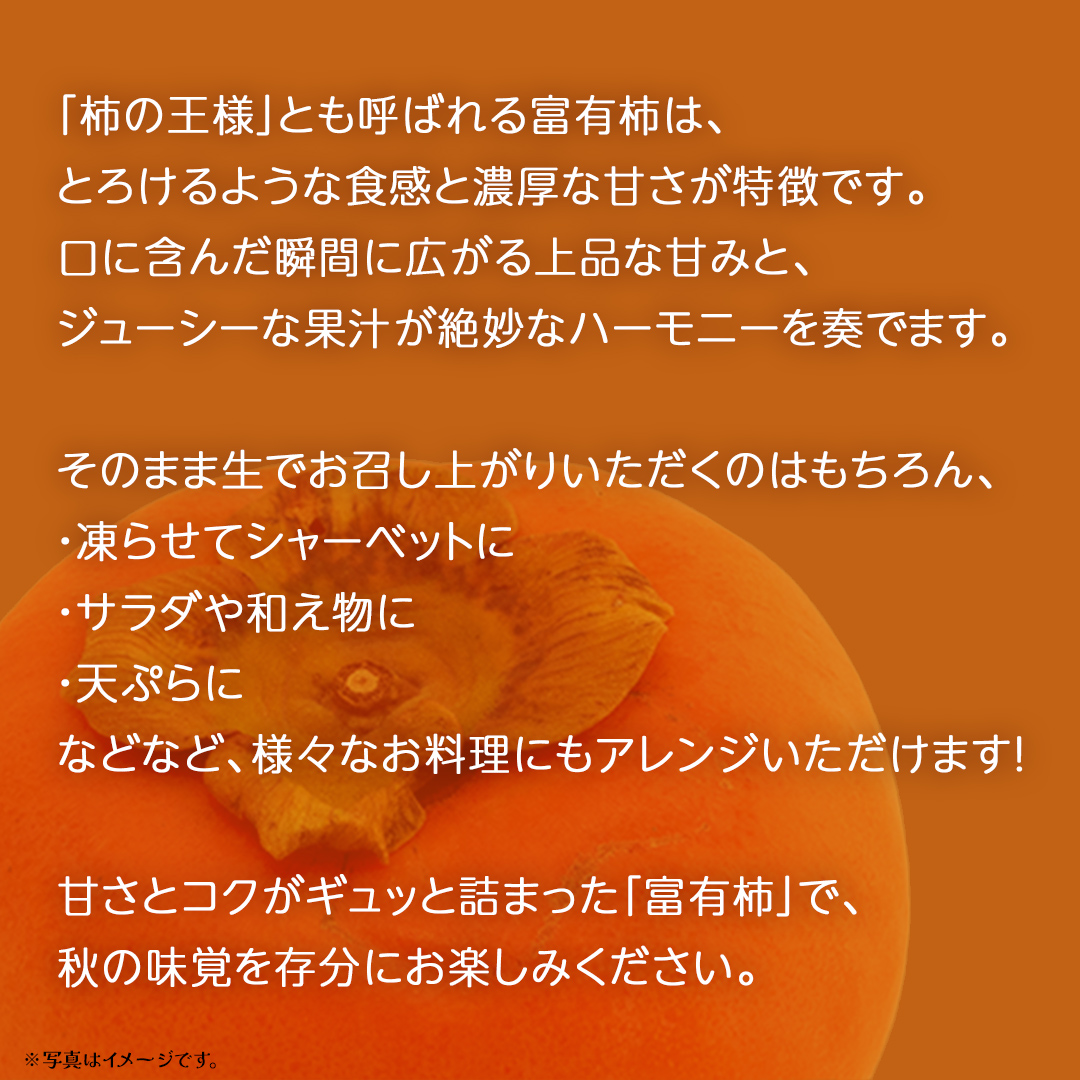 【 訳あり 】 柿 約10kg【2025年10月上旬発送開始】(茨城県共通返礼品：大子町)	柿 かき カキ 果物 フルーツ 旬 季節限定 期間限定