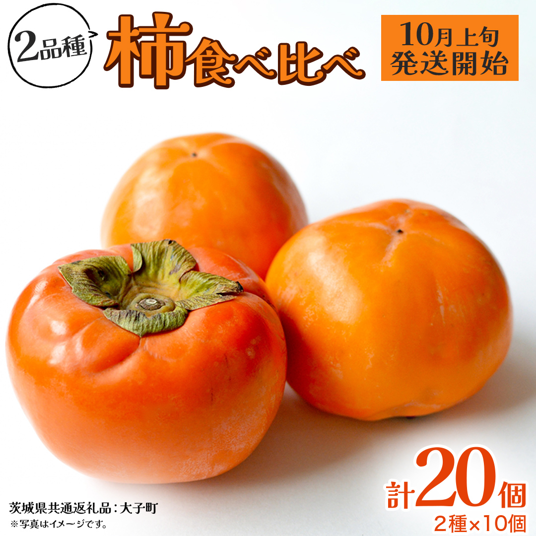 柿 食べ比べ 2品種×10個【2026年10月上旬発送開始】(茨城県共通返礼品：大子町) 富有柿 次郎柿 種無し柿 筆柿 太秋柿 果物 フルーツ 旬 季節限定 期間限定