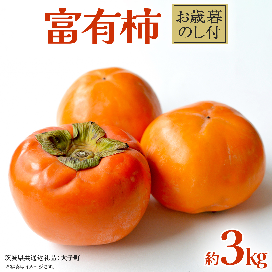 【 お歳暮 熨斗付き 】富有柿 約3kg 【2025年12月上旬発送開始】(茨城県共通返礼品：大子町) 果物 フルーツ 旬 季節限定 期間限定 贈答用 ギフト 贈り物
