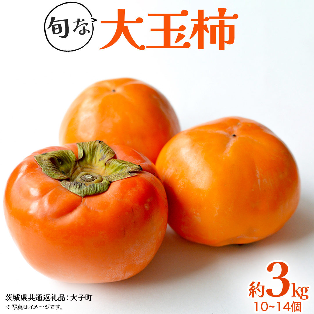 旬な大玉 柿 約3kg 10～14個 【2025年10月上旬発送開始】(茨城県共通返礼品：大子町)	柿 かき カキ 果物 フルーツ 旬 季節限定 期間限定