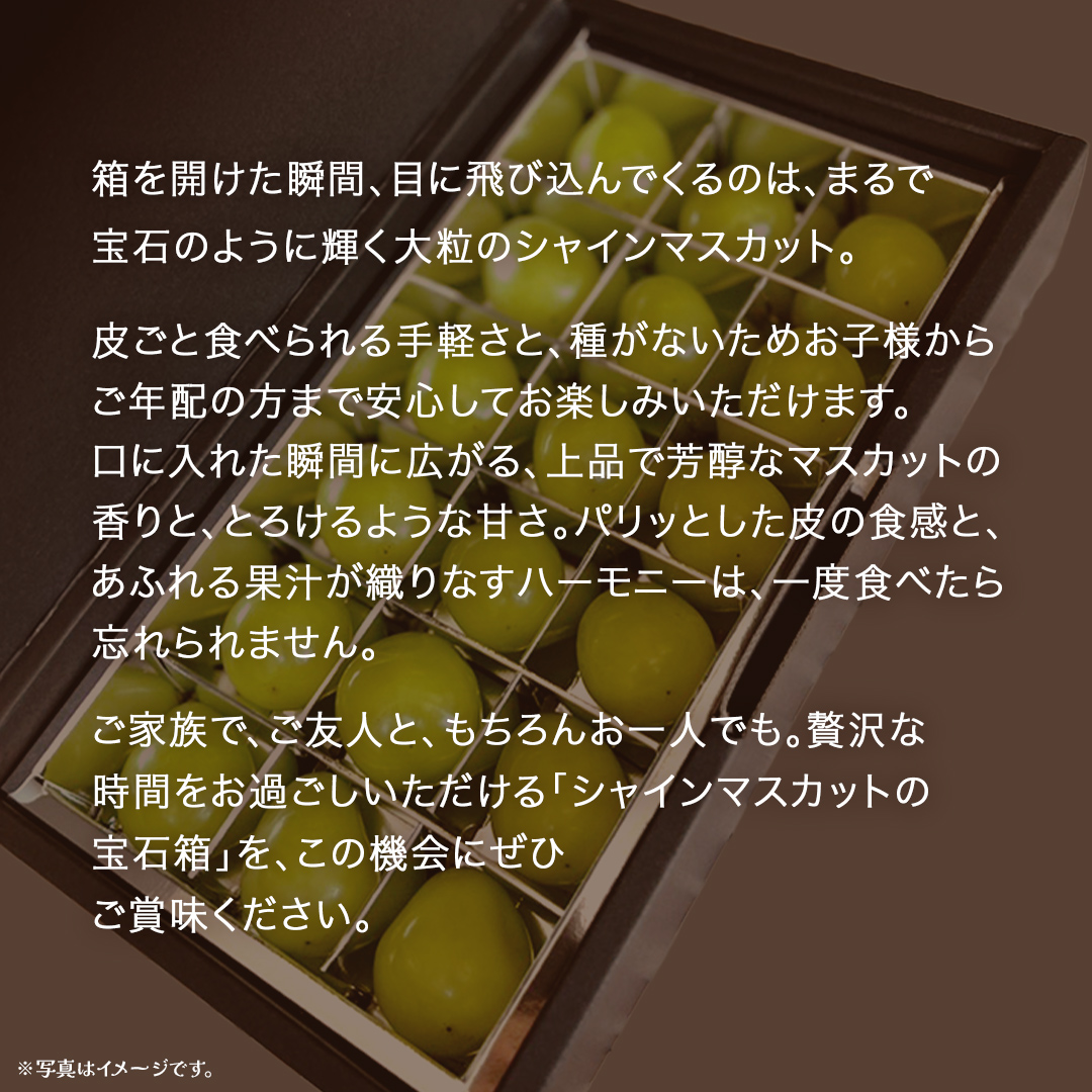 【 お歳暮 熨斗付き 】 シャインマスカット の宝石箱 18粒 【2025年12月上旬発送開始】(茨城県共通返礼品：大子町) ぶどう 葡萄 フルーツ 果物 贈答用 ギフト 贈り物