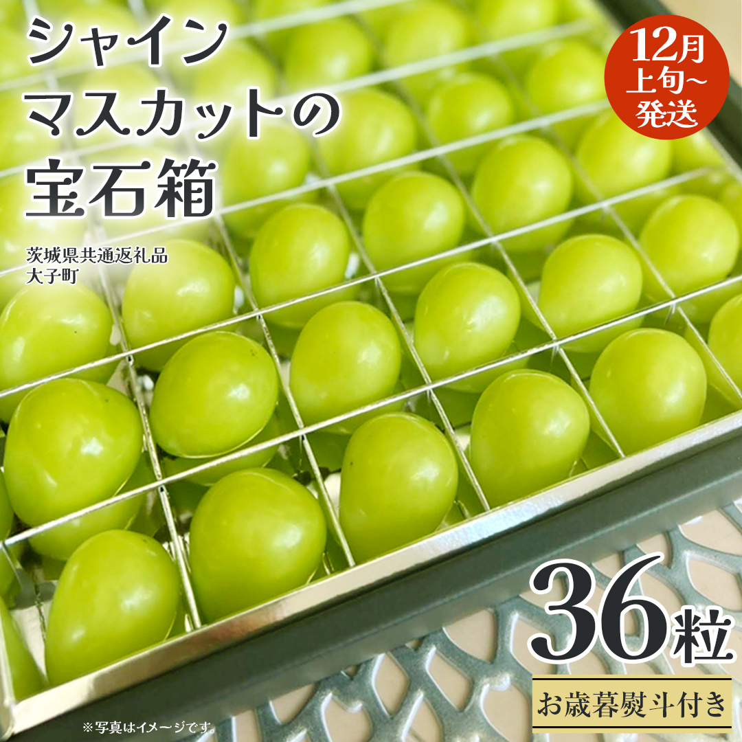 【 お歳暮 熨斗付き 】 シャインマスカット の宝石箱 36粒 【2025年12月上旬発送開始】(茨城県共通返礼品：大子町) ぶどう 葡萄 フルーツ 果物 贈答用 ギフト 贈り物