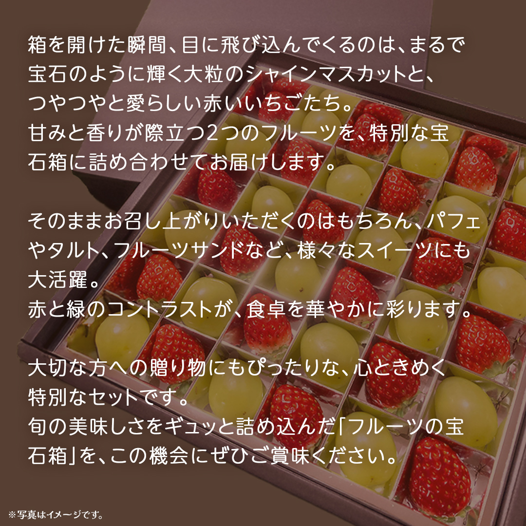 【 お歳暮 熨斗付き 】 赤いちご と シャインマスカット の宝石箱 36粒【2025年12月上旬発送開始】(茨城県共通返礼品：大子町) いちご マスカット 果物 フルーツ 旬 季節限定 期間限定 贈答用 ギフト 贈り物