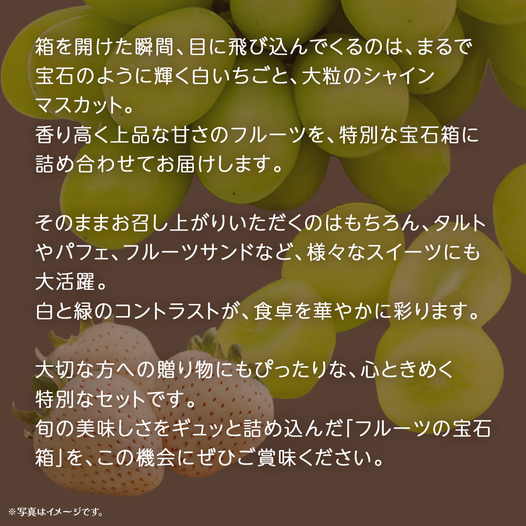 【 お歳暮 熨斗付き 】 白いちご と シャインマスカット の宝石箱 36粒【2025年12月上旬発送開始】(茨城県共通返礼品：大子町) いちご マスカット 果物 フルーツ 旬 季節限定 期間限定 贈答用 ギフト 贈り物