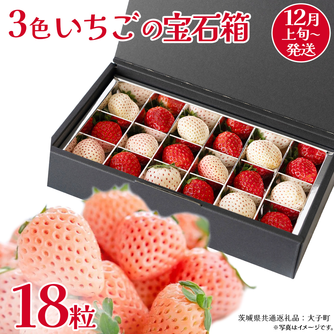 3色いちご の宝石箱18粒【2025年12月上旬発送開始】(茨城県共通返礼品：大子町) いちご 苺 果物 フルーツ 果実