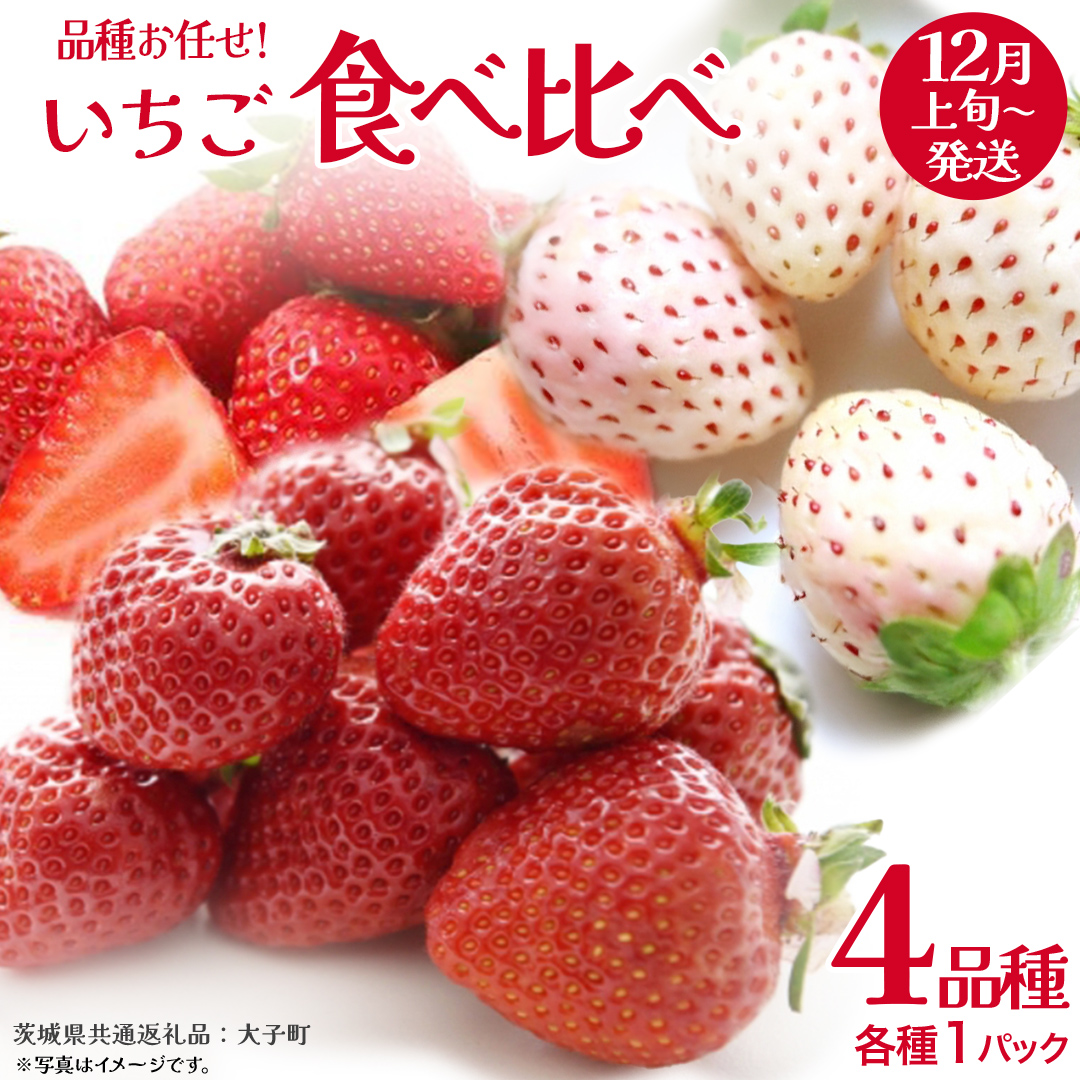 いちごの 食べ比べ 4品種×1パック【2025年12月上旬発送開始】(茨城県共通返礼品：大子町) いちご 苺 果物 フルーツ 果実