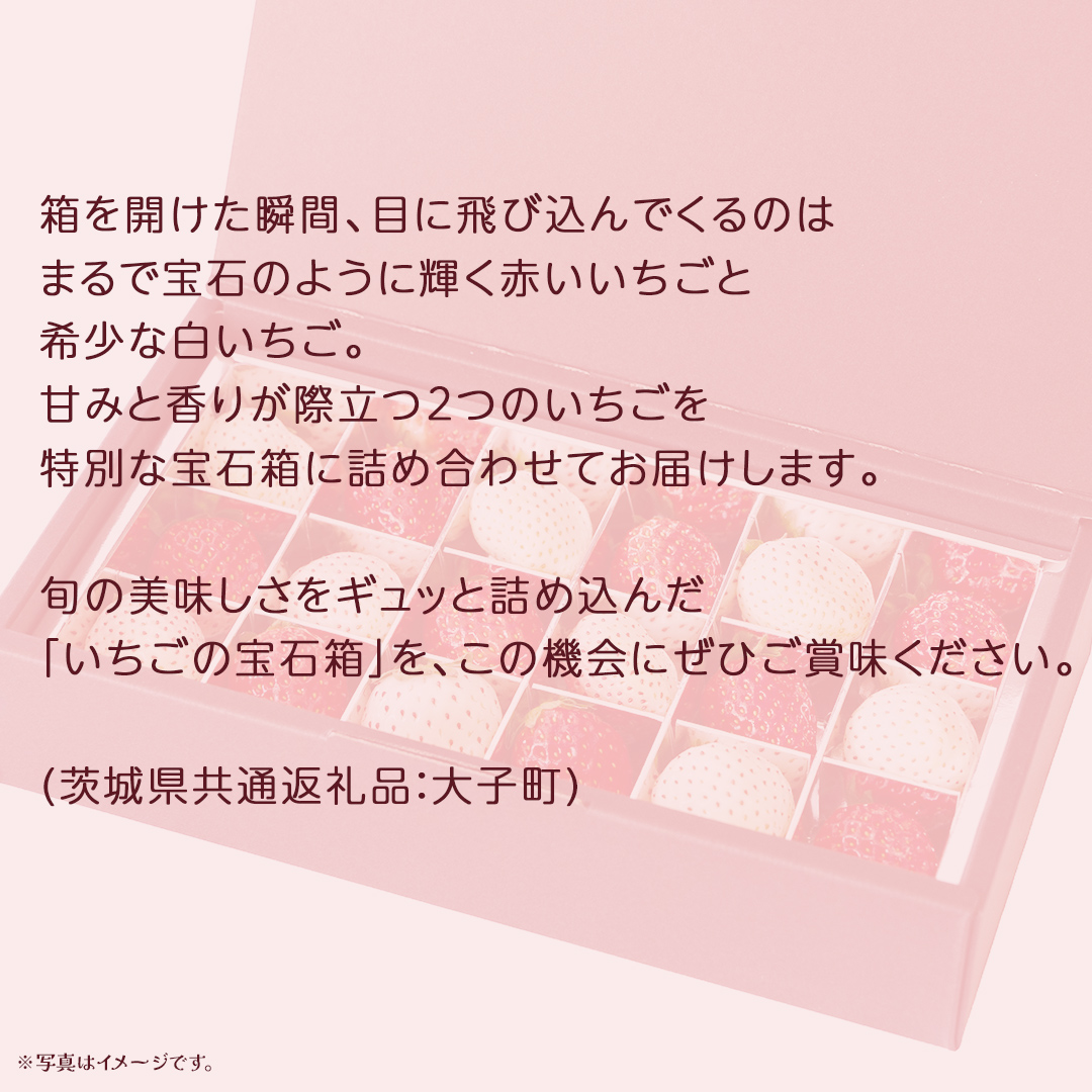 【 お歳暮 熨斗付き 】 赤いちご と 白いちご の宝石箱18粒【2025年12月上旬発送開始】(茨城県共通返礼品：大子町) いちご 苺 果物 フルーツ 果実 贈答用 ギフト 贈り物