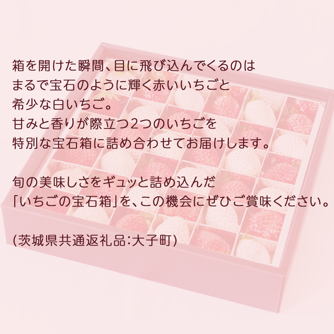 【 お歳暮 熨斗付き 】 赤いちご と 白いちご の宝石箱36粒【2025年12月上旬発送開始】(茨城県共通返礼品：大子町) いちご 苺 果物 フルーツ 果実 贈答用 ギフト 贈り物