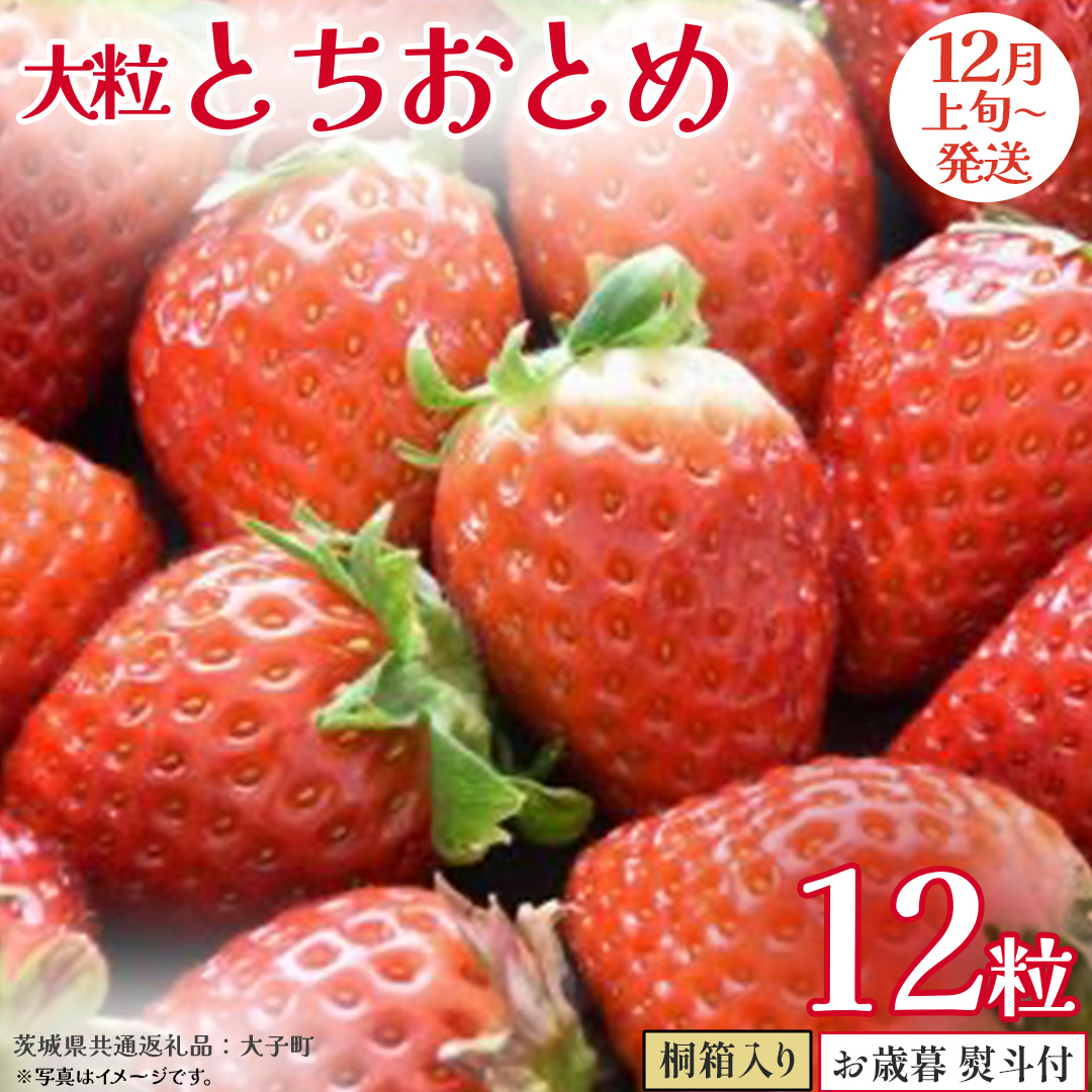 【 お歳暮 熨斗付き 】 桐箱入り 大粒 とちおとめ 12粒【2025年12月上旬発送開始】(茨城県共通返礼品：大子町) いちご 苺 果物 フルーツ 果実 贈答用 ギフト 贈り物