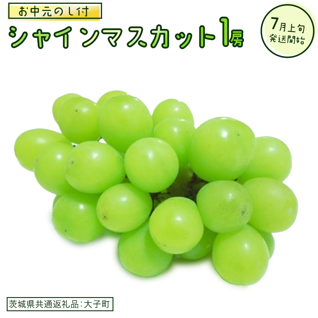 【 お中元 熨斗付き】 シャインマスカット １房 【2026年7月上旬発送開始】(茨城県共通返礼品：大子町)  ぶどう 葡萄 ブドウ マスカット フルーツ 果物 贈答用 ギフト 贈り物