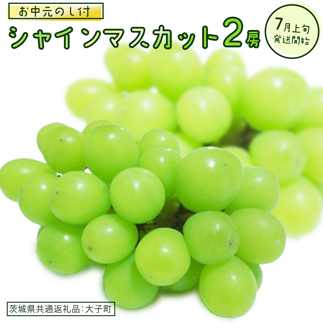 【 お中元 熨斗付き】 シャインマスカット ２房 【2026年7月上旬発送開始】(茨城県共通返礼品：大子町) ぶどう 葡萄 ブドウ マスカット フルーツ 果物 贈答用 ギフト 贈り物