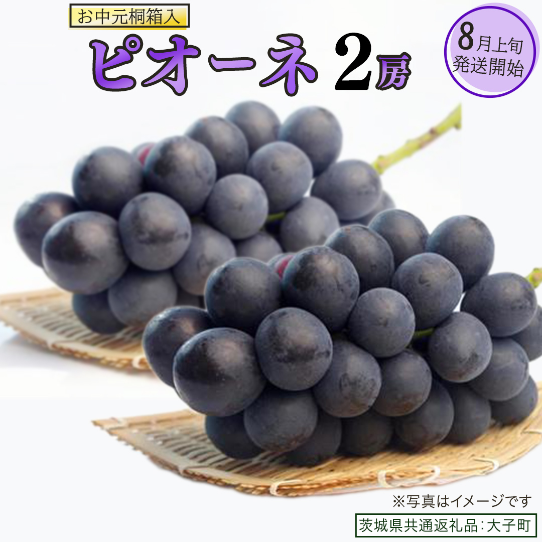 【 お中元 桐箱入り】 ピオーネ ２房 【2026年8月上旬発送開始】(茨城県共通返礼品：大子町) ブドウ ぶどう 葡萄 ピオーネ 果物 フルーツ 果実 贈答用 贈り物 ギフト プレゼント