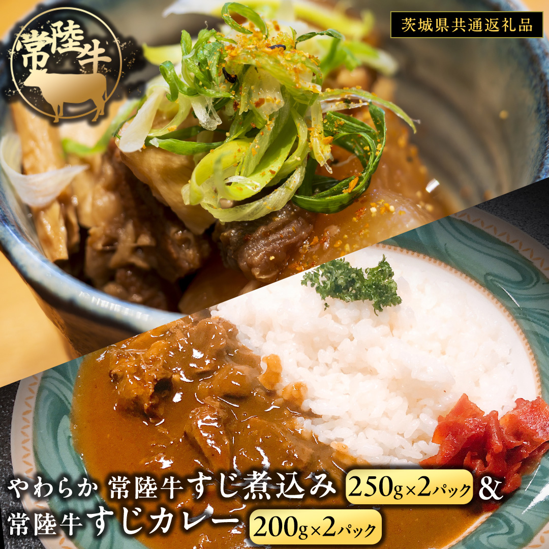 やわらか 常陸牛 すじ煮込み と すじカレー セット 各2パック 【茨城県共通返礼品】 カレー 牛すじ 煮込み お肉 牛肉 簡単 冷凍 レトルト