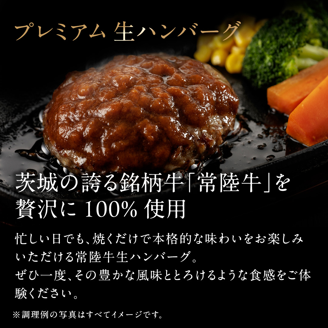 【6ケ月定期便】 常陸牛 100% プレミアム 生ハンバーグ 合計8640g（ 120g × 12個 × 6回 ） 【茨城県共通返礼品】 ハンバーグ 黒毛和牛 和牛 牛肉 肉 レトルト 冷凍 簡単 小分け 定期便