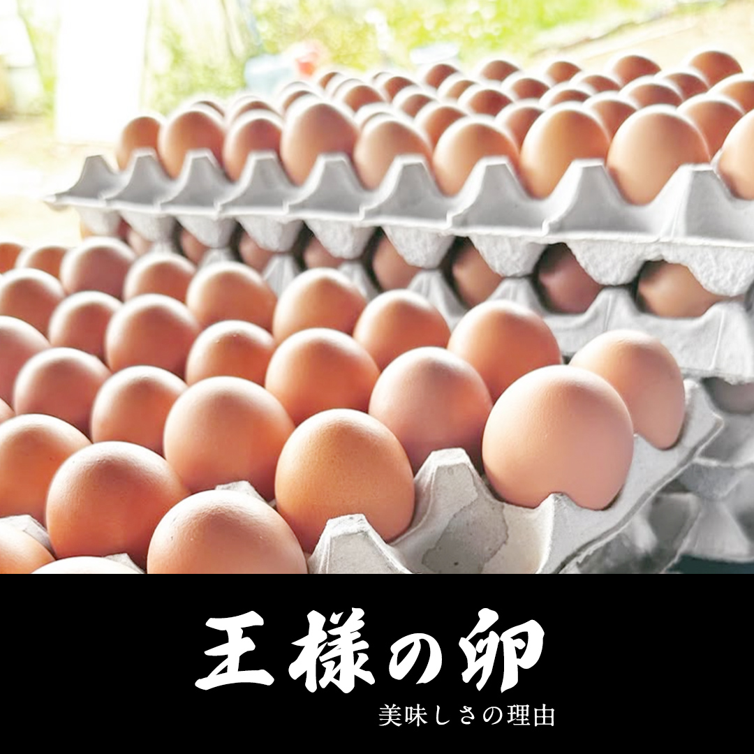 王様の卵 ヨード入 20個 (15個+割れ保障5個 ) 平飼い 地鶏 有精卵 濃厚 卵 こだわり卵 たまご