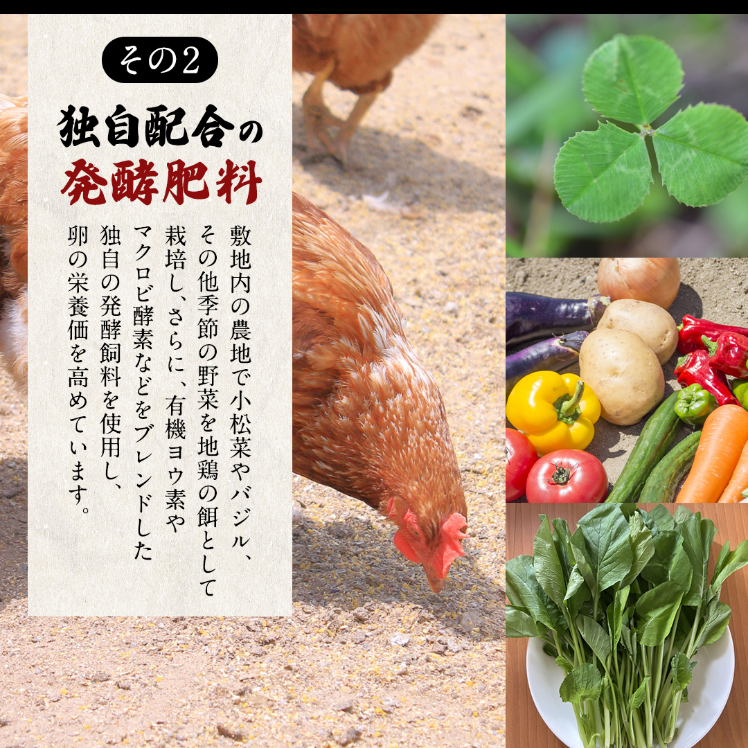 王様の卵 ヨード入 20個 (15個+割れ保障5個 ) 平飼い 地鶏 有精卵 濃厚 卵 こだわり卵 たまご