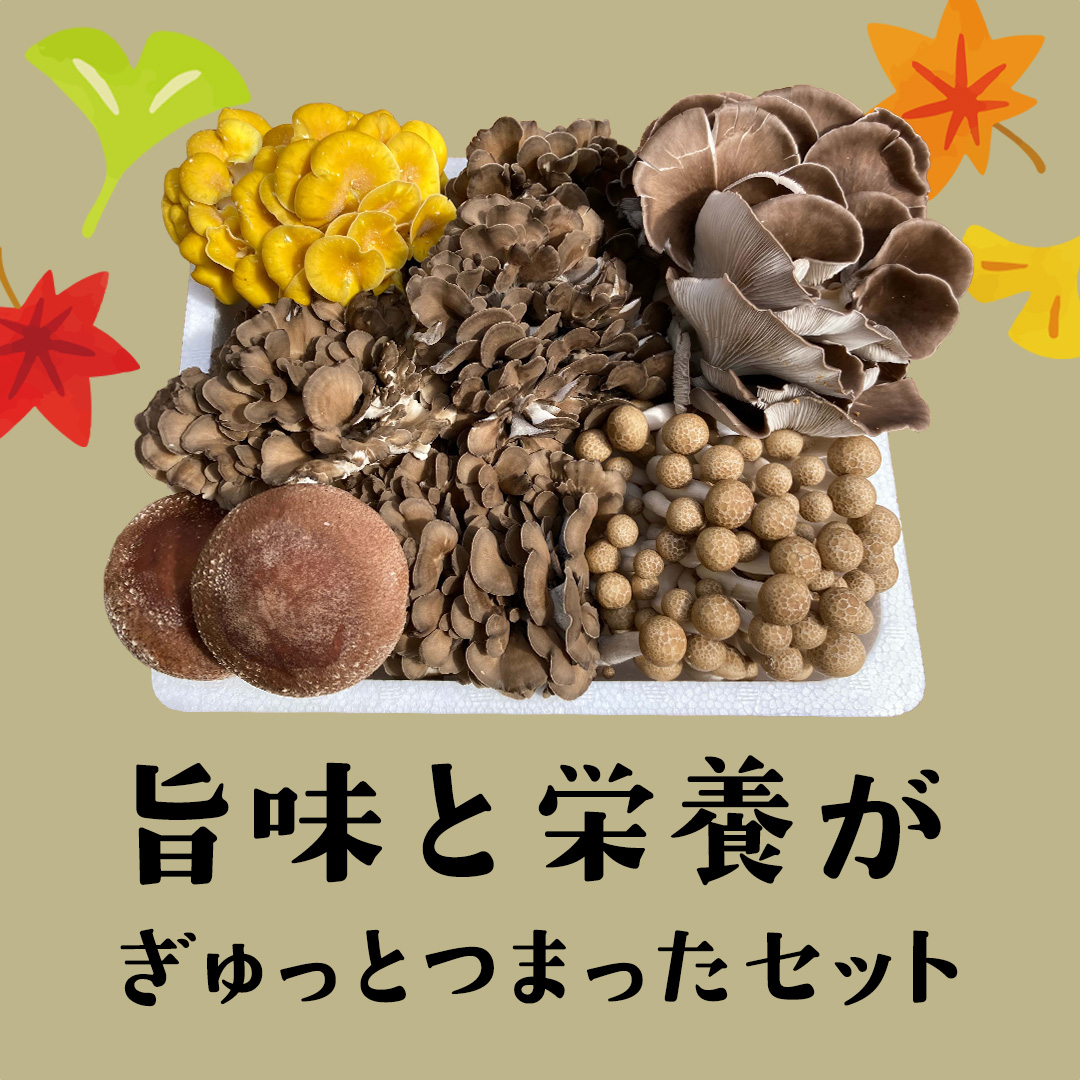  【 3ヶ月連続定期便 】きのこ の 詰め合わせ Sサイズ ( 約1kg ) （茨城県共通返礼品：城里町） キノコ セット 野菜 低カロリー ダイエット デトックス バラエティ セット 新鮮
