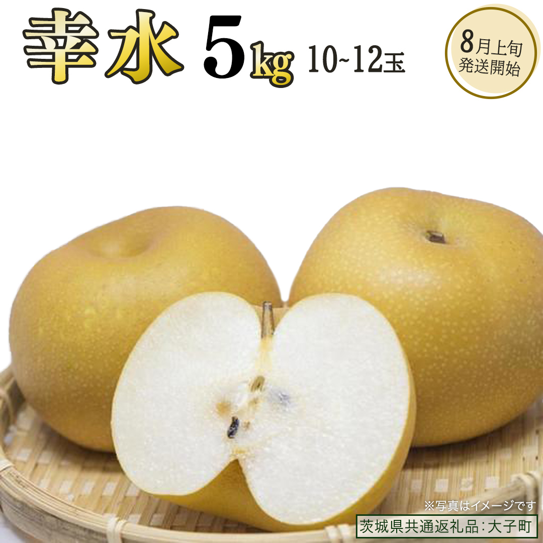 幸水 約5kg (10～12玉)【2026年8月上旬発送開始】(茨城県共通返礼品：大子町) 梨 なし 果物 くだもの フルーツ