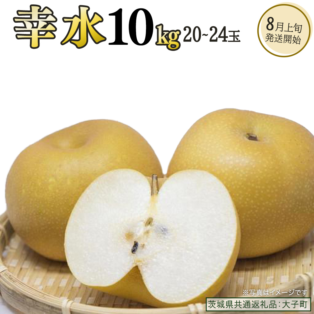 幸水 約10kg (20～24玉)【2026年8月上旬発送開始】(茨城県共通返礼品：大子町) 梨 なし 果物 くだもの フルーツ