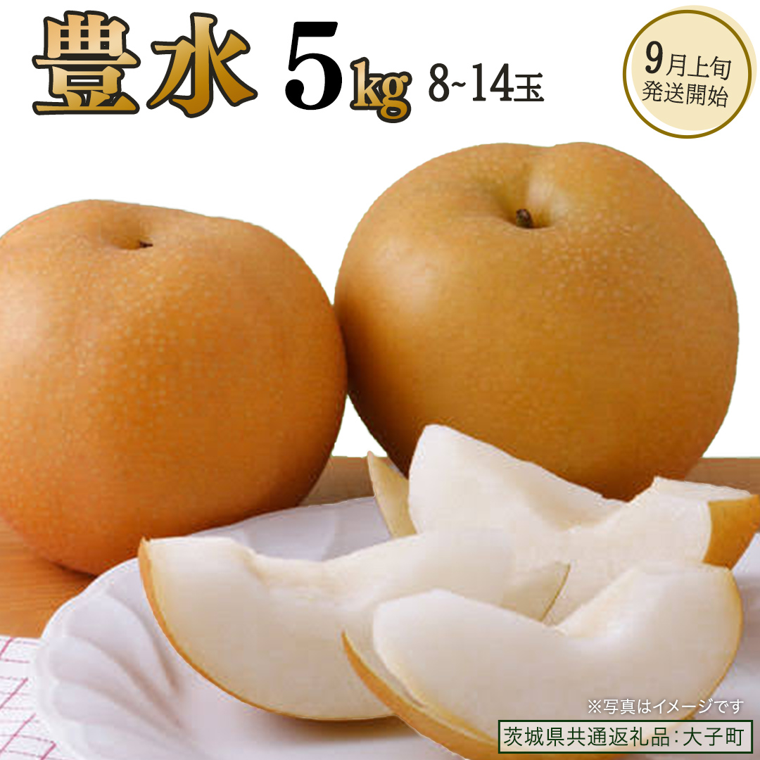 豊水 約5kg (8～14玉)【2026年9月上旬発送開始】(茨城県共通返礼品：大子町) 梨 なし 果物 くだもの フルーツ