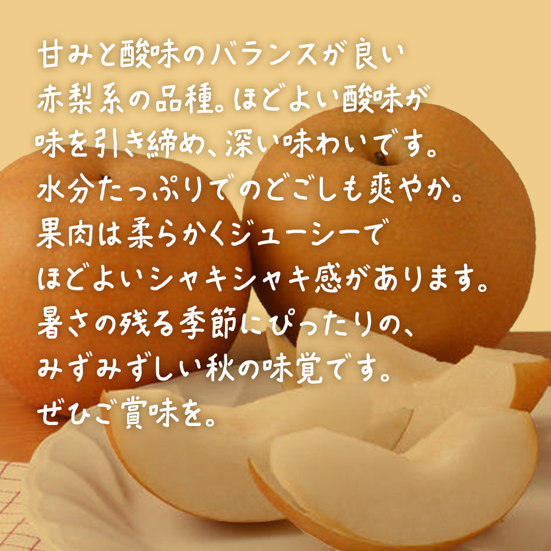 豊水約10kg (16～28玉)【2026年9月上旬発送開始】(茨城県共通返礼品：大子町) 梨 なし 果物 くだもの フルーツ