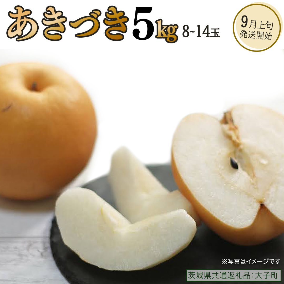 あきづき 約5kg（8～14個）【2026年9月上旬発送開始】(茨城県共通返礼品：大子町) 秋月 梨 なし 果物 くだもの フルーツ