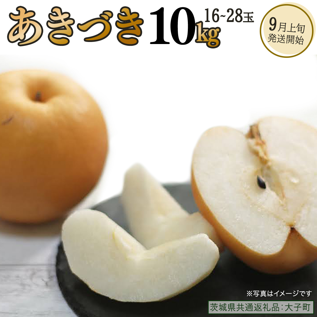 あきづき 約10kg（16～28個）【2026年9月上旬発送開始】(茨城県共通返礼品：大子町) 秋月 梨 なし 果物 くだもの フルーツ