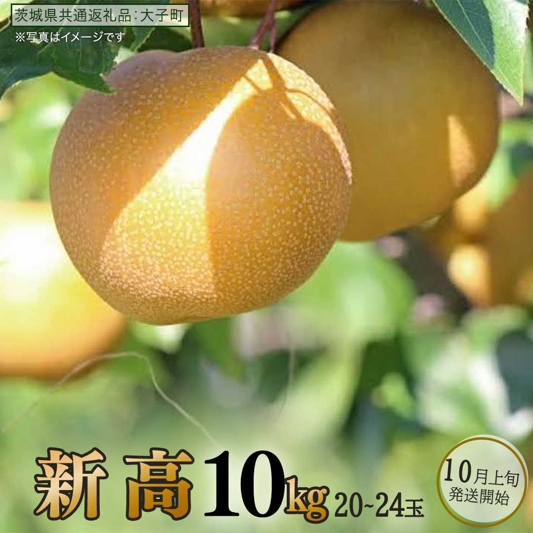 新高 約10kg (20～24玉)【2026年10月上旬発送開始】(茨城県共通返礼品：大子町) 梨 なし 果物 くだもの フルーツ にいたか