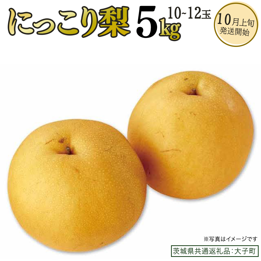 にっこり梨 約5kg (10～12玉)【2026年10月上旬発送開始】(茨城県共通返礼品：大子町) 梨 なし 果物 くだもの フルーツ にっこり