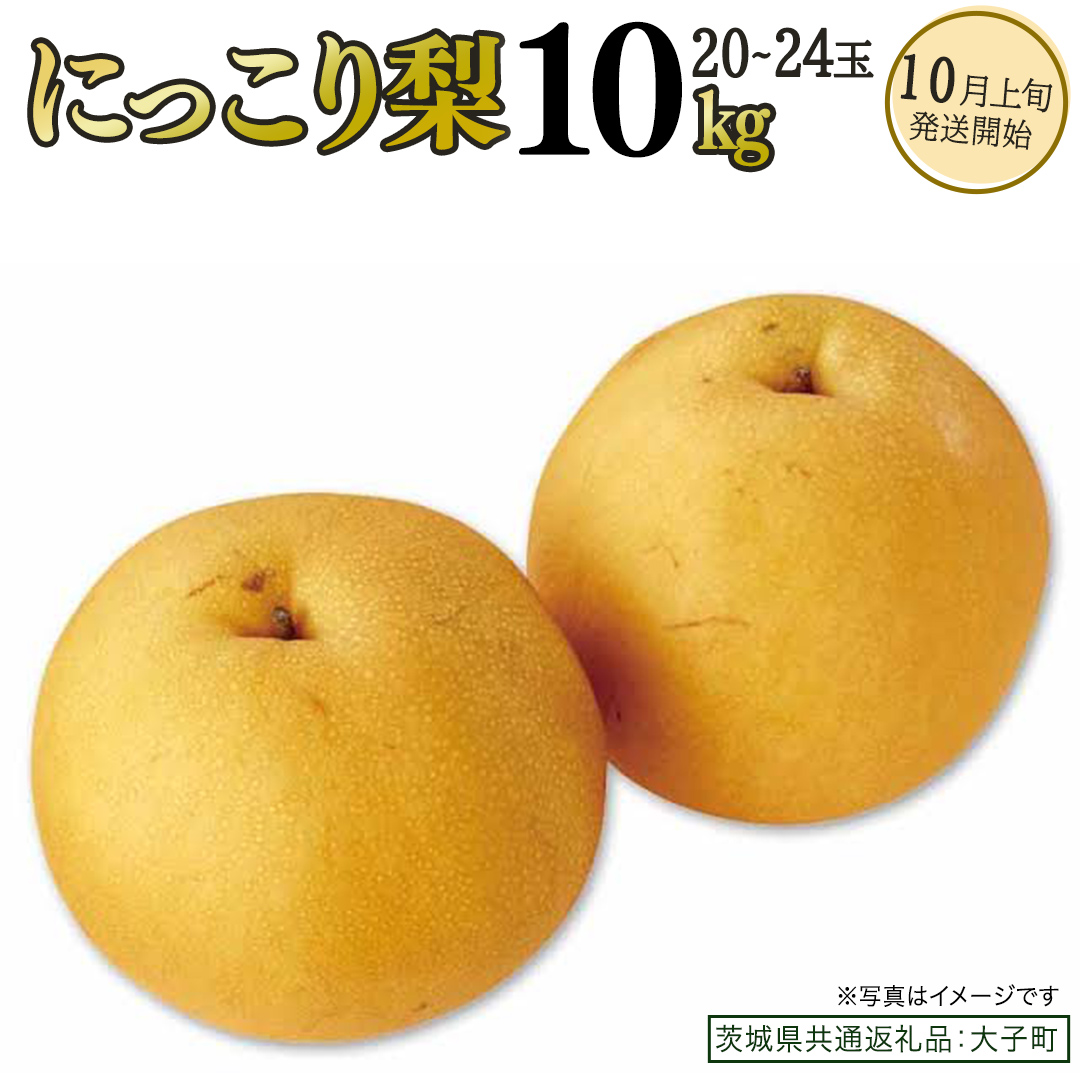 にっこり梨 約10kg (20～24玉)【2026年10月上旬発送開始】(茨城県共通返礼品：大子町) 梨 なし 果物 くだもの フルーツ にっこり