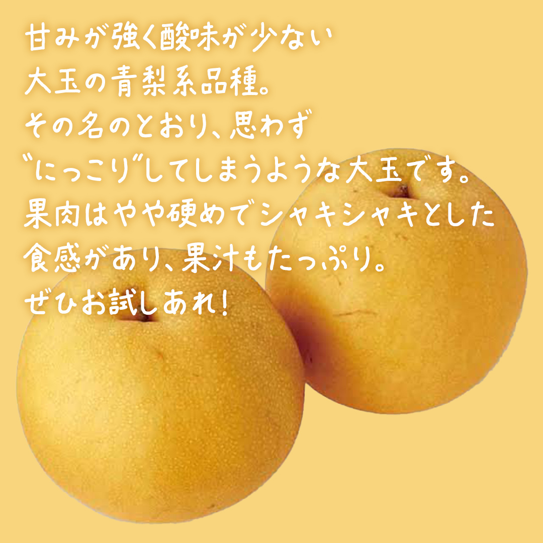 にっこり梨 約10kg (20～24玉)【2026年10月上旬発送開始】(茨城県共通返礼品：大子町) 梨 なし 果物 くだもの フルーツ にっこり
