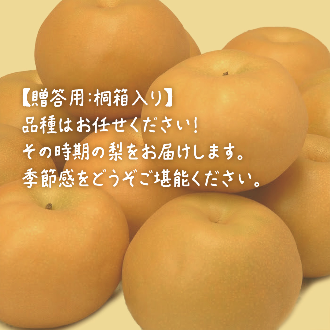 【桐箱入り】梨 約3kg (6～8玉) 【2026年8月上旬発送開始】(茨城県共通返礼品：大子町) なし 果物 くだもの フルーツ おまかせ 旬