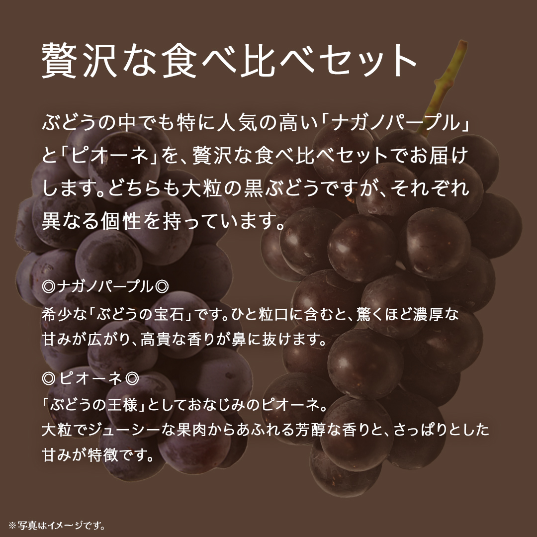【 桐箱入り 】 ナガノパープル と ピオーネ (各１房)【2026年8月上旬発送開始】(茨城県共通返礼品：大子町) ぶどう 葡萄 マスカット フルーツ 果物 贈答用 ギフト 贈り物