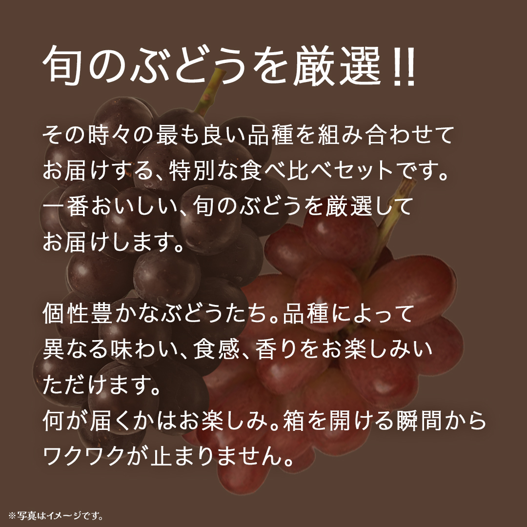 旬な ぶどう 食べ比べ 700g × 4房 【2026年8月上旬発送開始】(茨城県共通返礼品：大子町) ぶどう 葡萄 フルーツ 果物 おまかせ お楽しみ