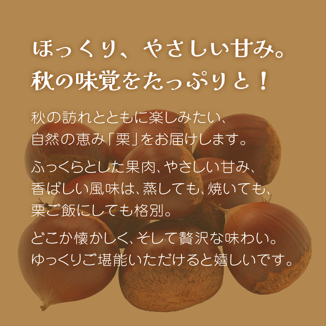 秋の味覚「 栗 」5kg【2026年9月上旬発送開始】(茨城県共通返礼品：大子町) くり マロン 果物 スイーツ モンブラン 栗きんとん 生栗 焼き栗 甘栗