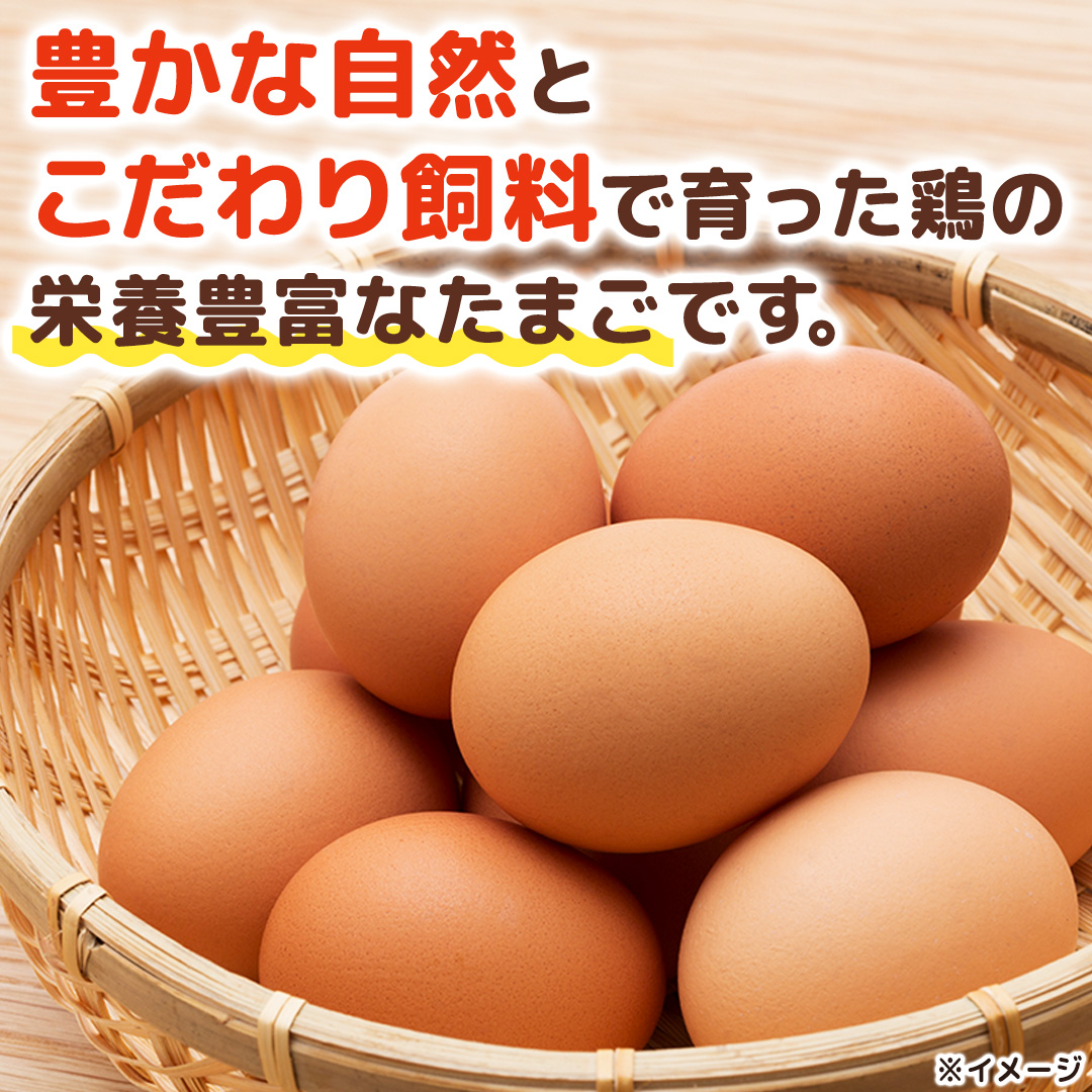 キトサン 健康 たまご 80個入 赤玉 卵 タマゴ 鶏卵 鶏 卵かけごはん ゆで卵 赤たまご 国産 茨城県 玉子