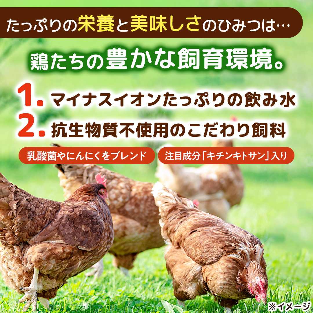 キトサン 健康 たまご 80個入 赤玉 卵 タマゴ 鶏卵 鶏 卵かけごはん ゆで卵 赤たまご 国産 茨城県 玉子