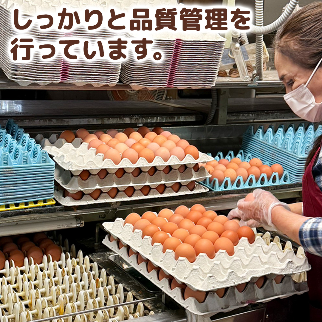 キトサン 健康 たまご 80個入 赤玉 卵 タマゴ 鶏卵 鶏 卵かけごはん ゆで卵 赤たまご 国産 茨城県 玉子