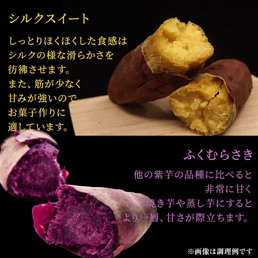 さつまいも 【 シルクスイート ・ ふくむらさき 】 5kg ( 箱込 )の 2箱セット さつまいも 詰合せ 国産 農園 野菜 サツマイモ 芋 期間限定 デザート スイーツ おやつ 料理 味噌汁 煮物 生芋
