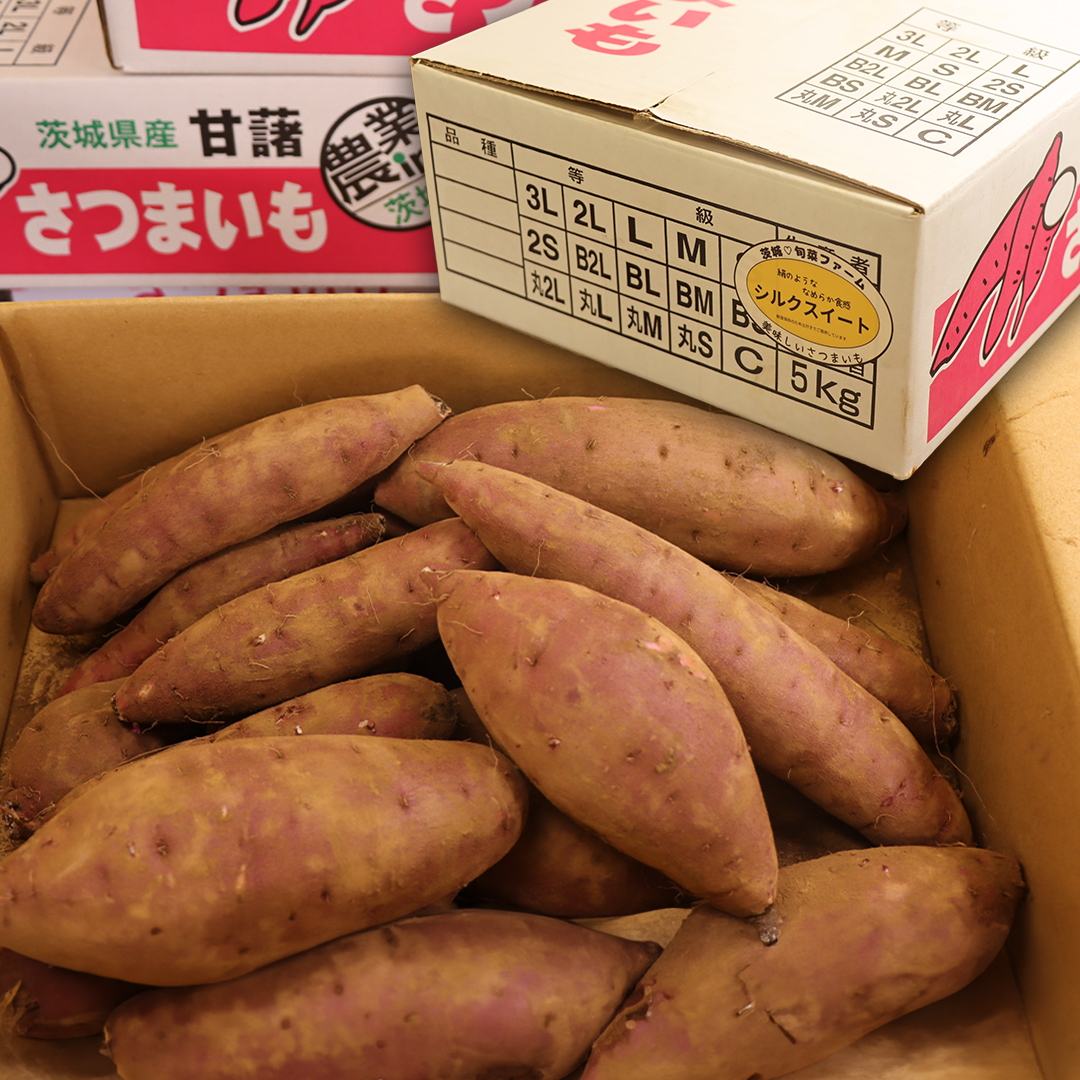 さつまいも 【 シルクスイート ・ ふくむらさき 】 5kg ( 箱込 )の 2箱セット さつまいも 詰合せ 国産 農園 野菜 サツマイモ 芋 期間限定 デザート スイーツ おやつ 料理 味噌汁 煮物 生芋
