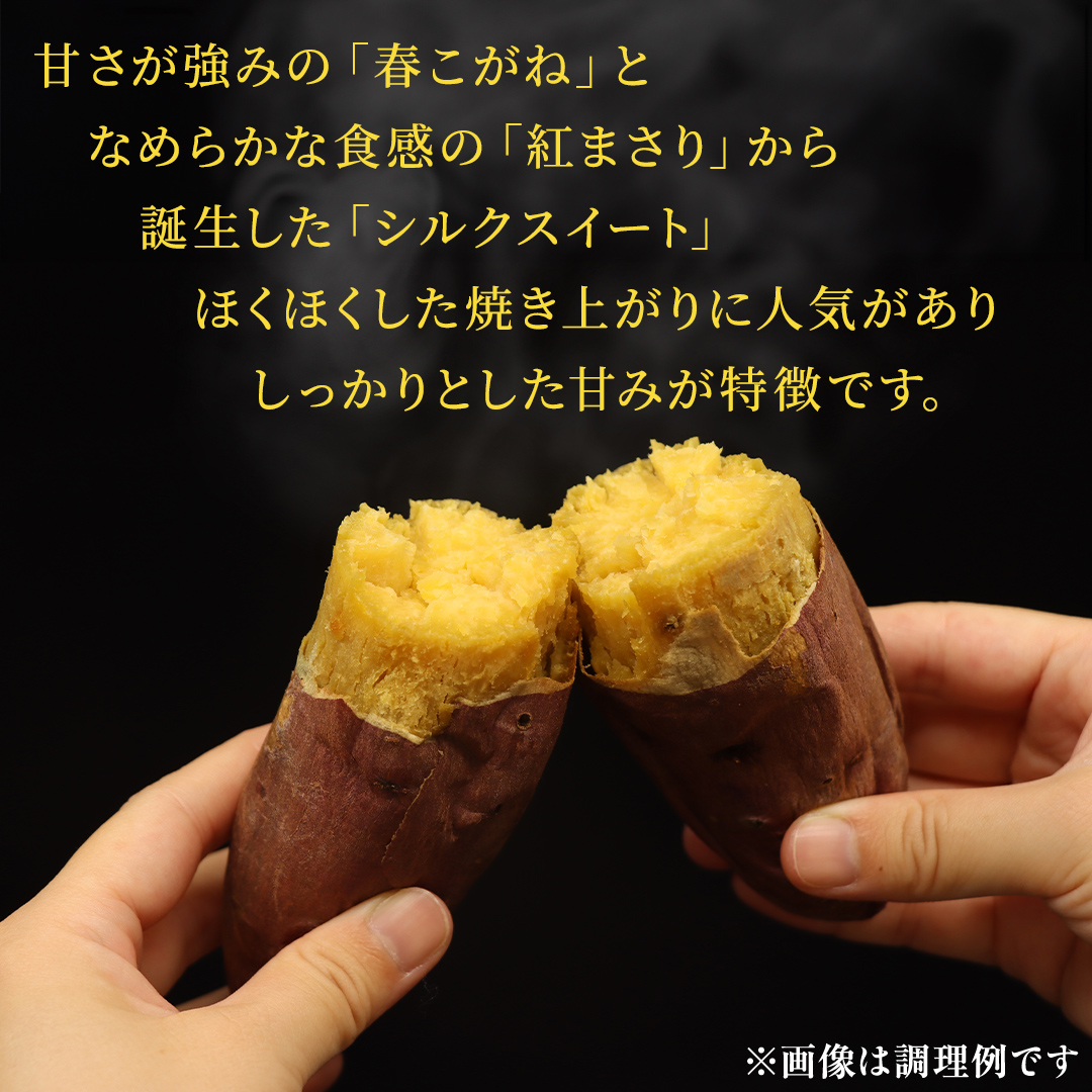 さつまいも 【 シルクスイート ・ ふくむらさき 】 5kg ( 箱込 )の 2箱セット さつまいも 詰合せ 国産 農園 野菜 サツマイモ 芋 期間限定 デザート スイーツ おやつ 料理 味噌汁 煮物 生芋
